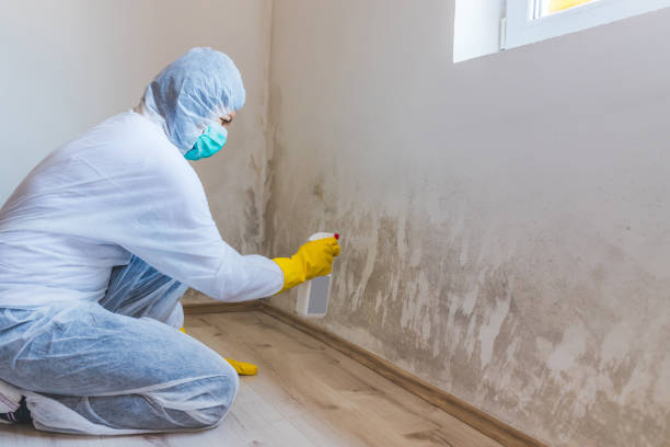 Bathroom Mold Removal assessment in Carr bathroom