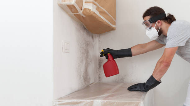 Attic Mold Remediation treatment on roof deck in Carr